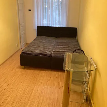 útulné Bydlení 10 Min Pěšky Do Centra Prahy * Praga